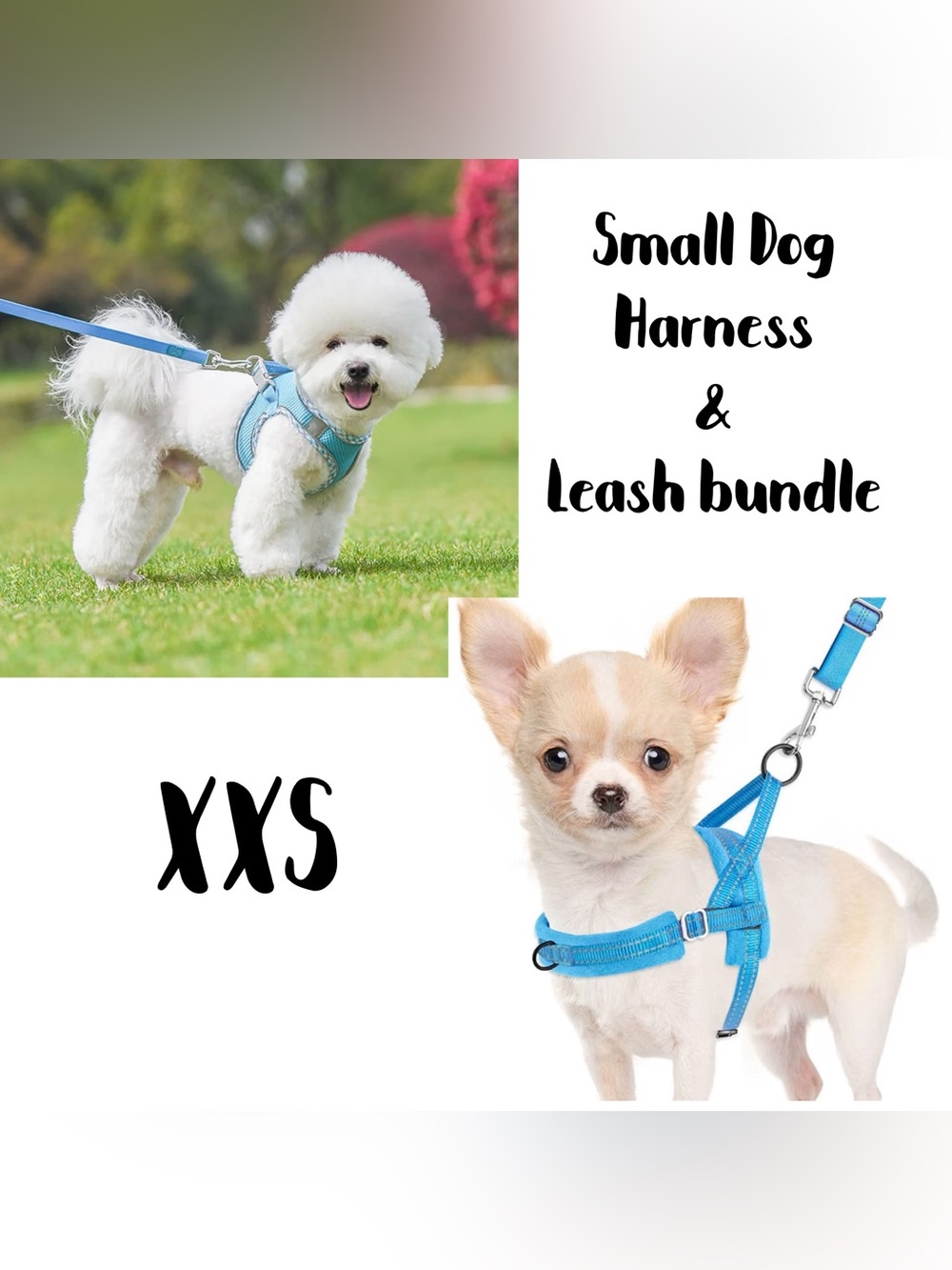 Set of 2 - Small Dog XXS Harness & Leash Bundle - Blue